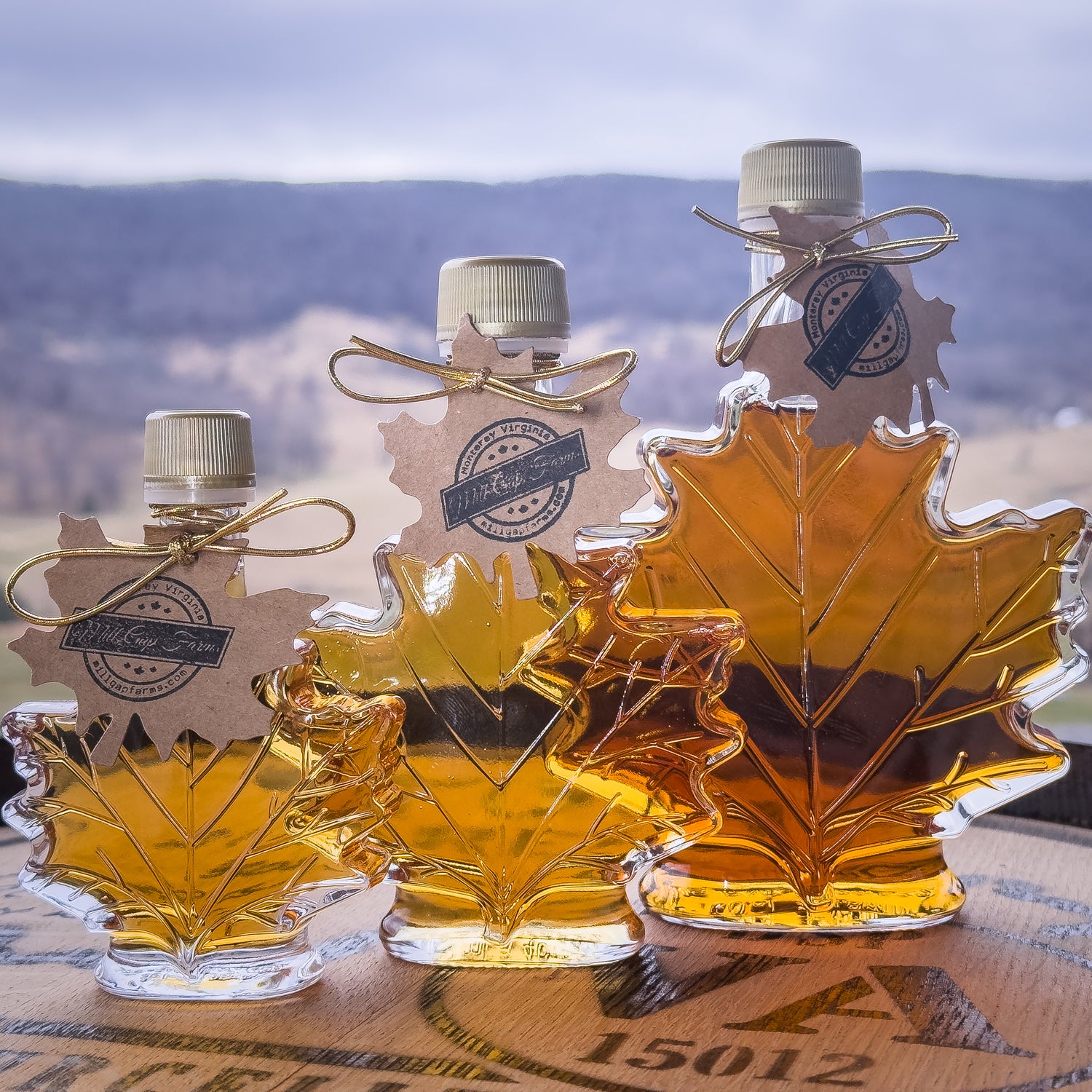 Maple Leaves